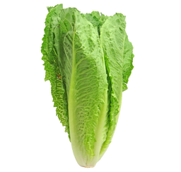 Salad Saag (Lettuce), 250gm