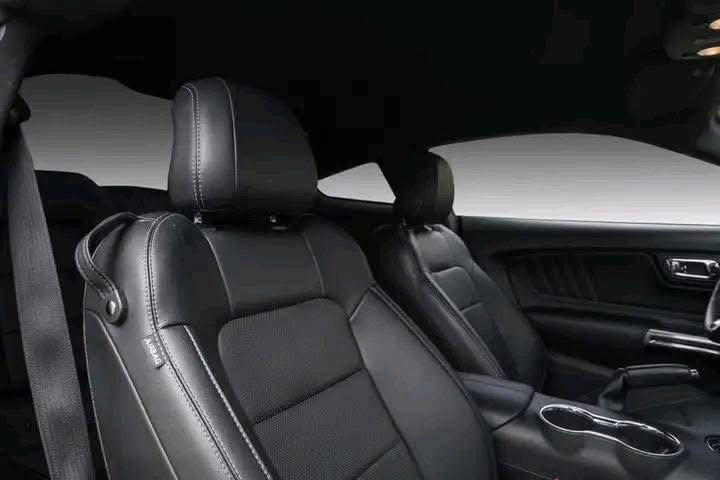 Ford Mustang / 2017 _7