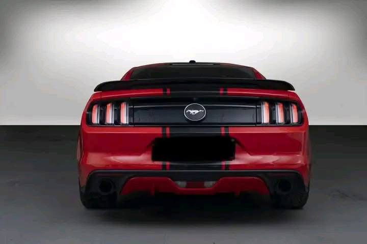 Ford Mustang / 2017 _2