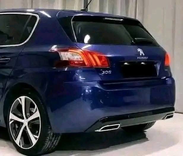 Peugeot 308 / 2015 _8