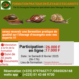 Formation en élevage d'escargots du 22/02/2025