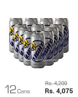 Arna Light 500ML x 12 Cans