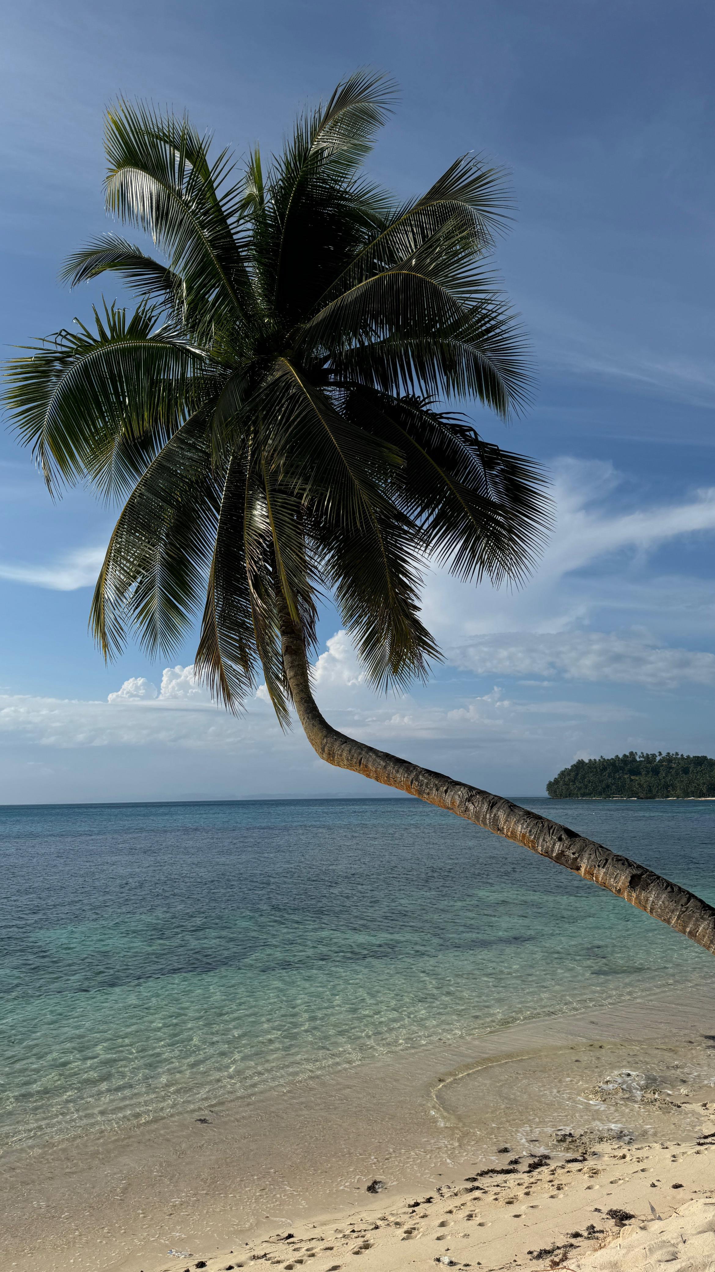 PRIVATE Island Hopping Adventure: Mam-On, La Januza & Corregidor _10