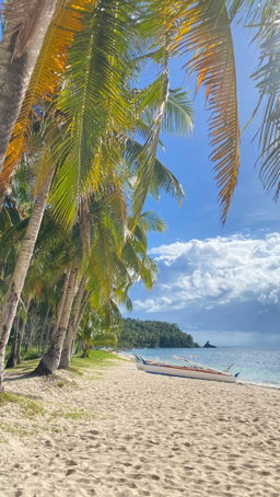 PRIVATE Island Hopping Adventure: Mam-On, La Januza & Corregidor including Boodle Fight 