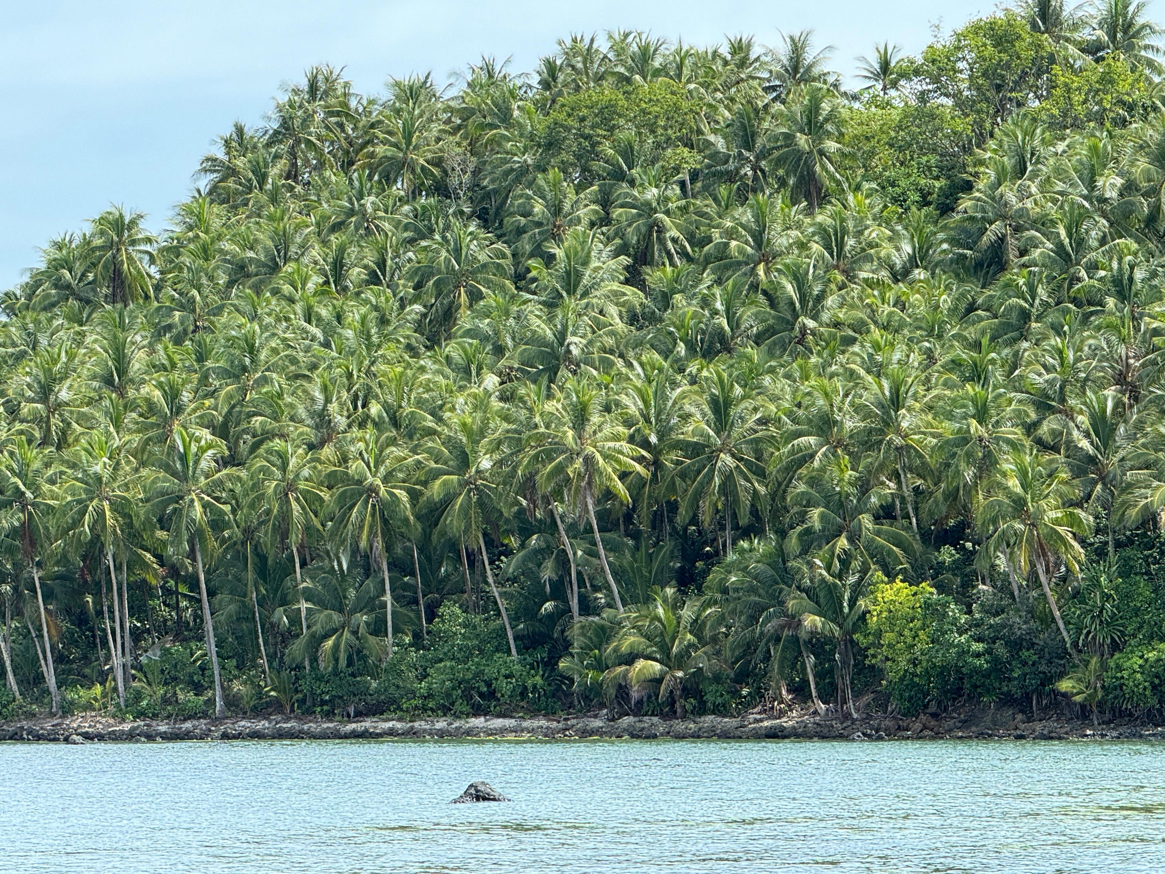 PRIVATE Island Hopping Adventure: Mam-On, La Januza & Corregidor _6