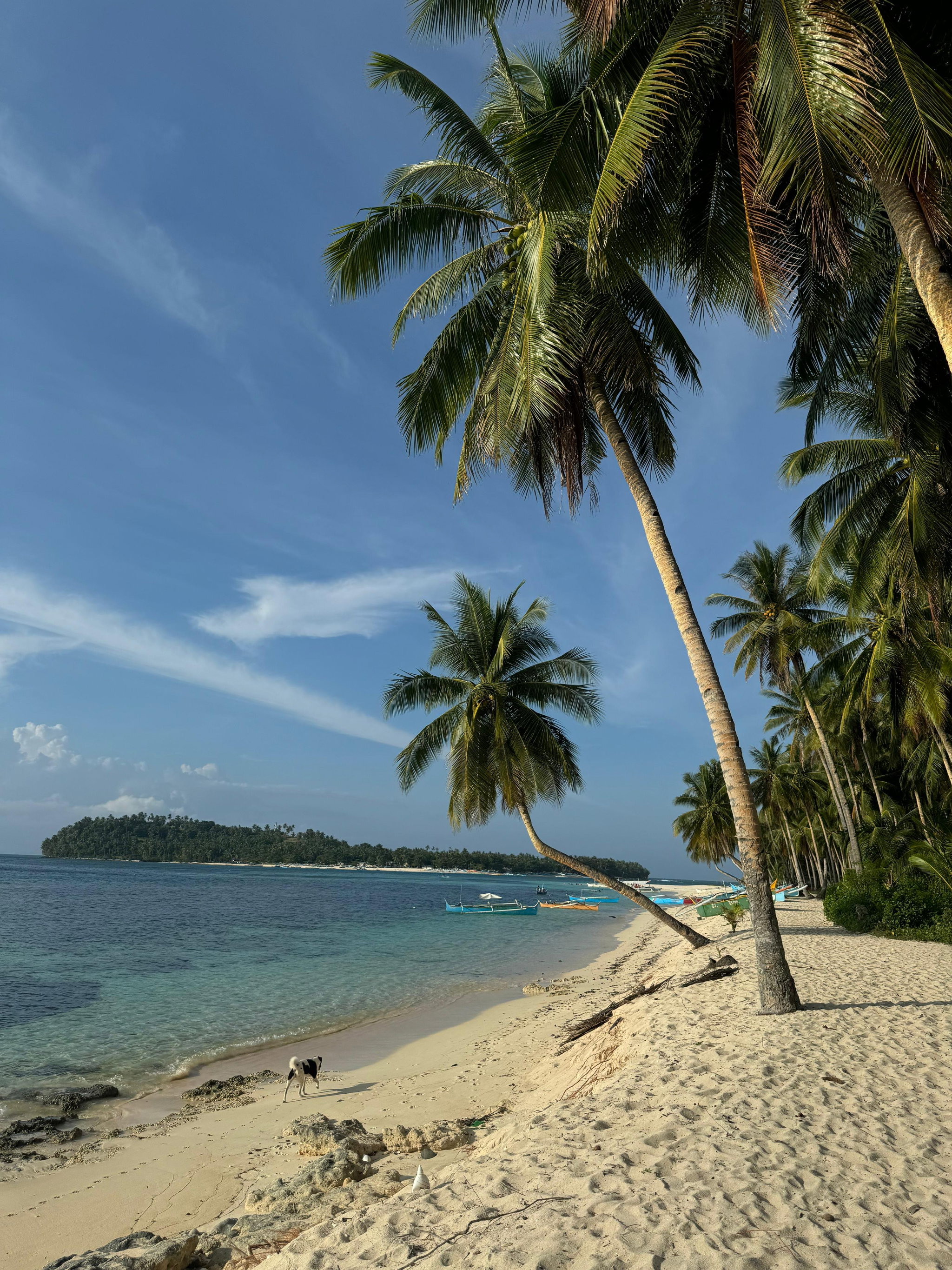 PRIVATE Island Hopping Adventure: Mam-On, La Januza & Corregidor including Boodle Fight _9