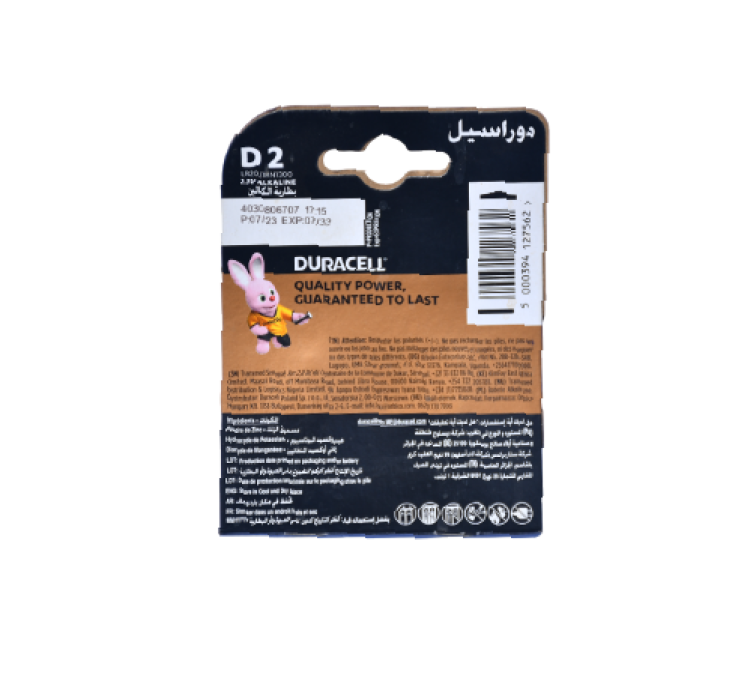 Duracell C LR20 | MN1300_1