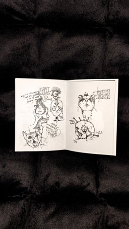 ZINE | and when insanity