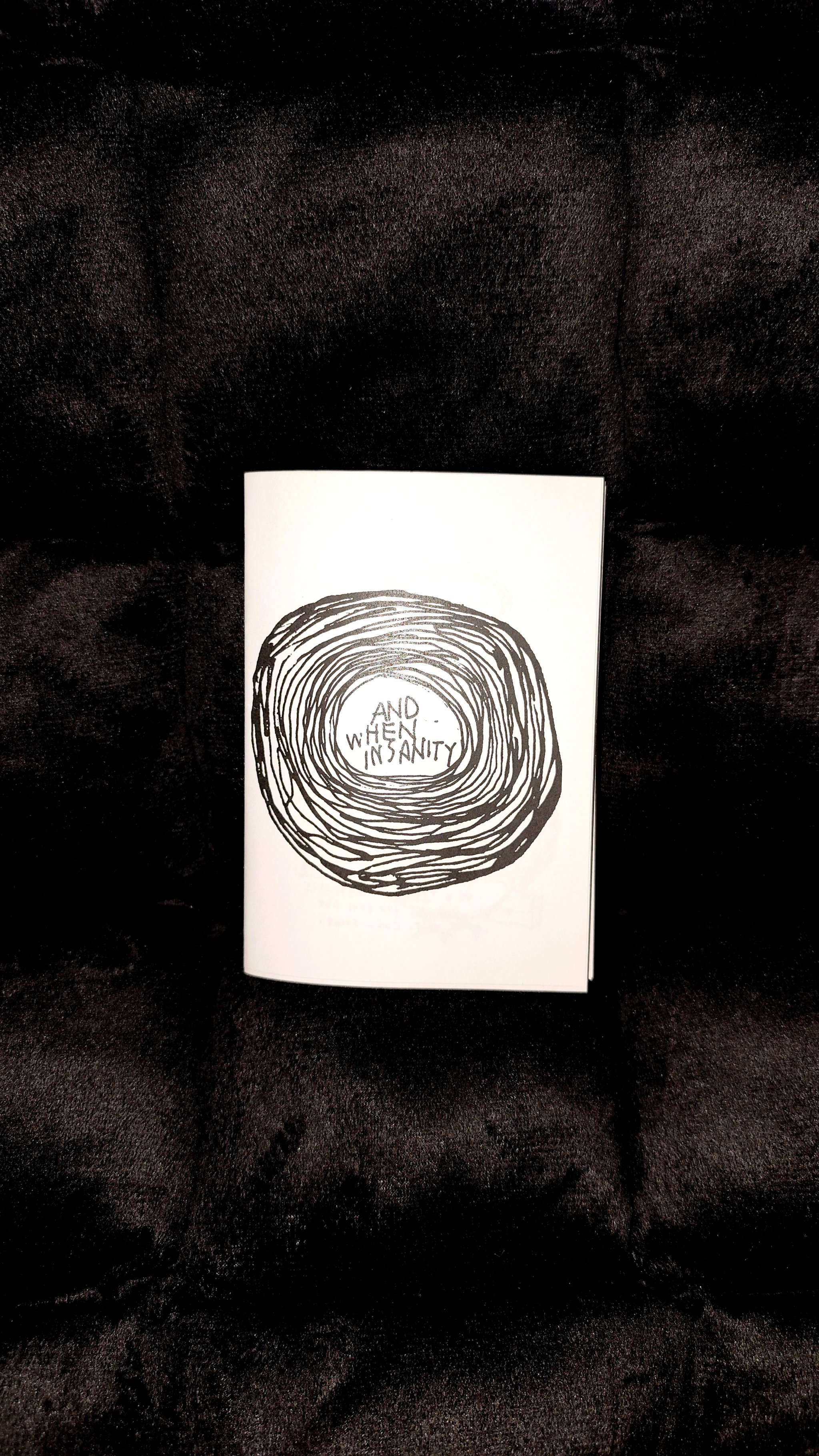 ZINE | and when insanity_0