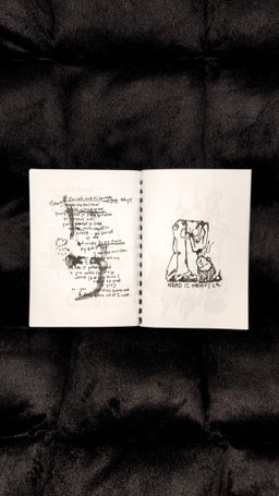 ZINE | and when insanity