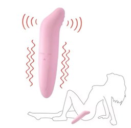 Dolphin Vibrator