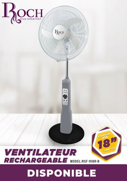 Ventilateur Rechargeable Roch 18"