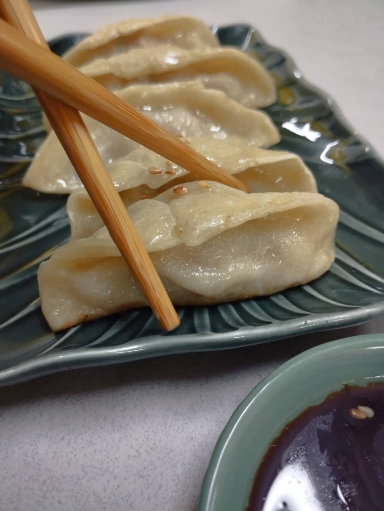 Gyozas au Poulet_1