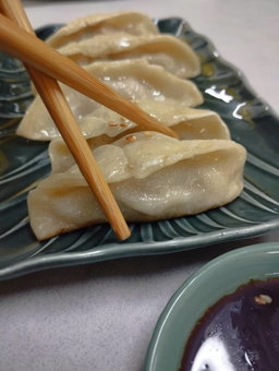 Gyozas au Poulet