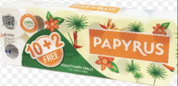 Papyrus 