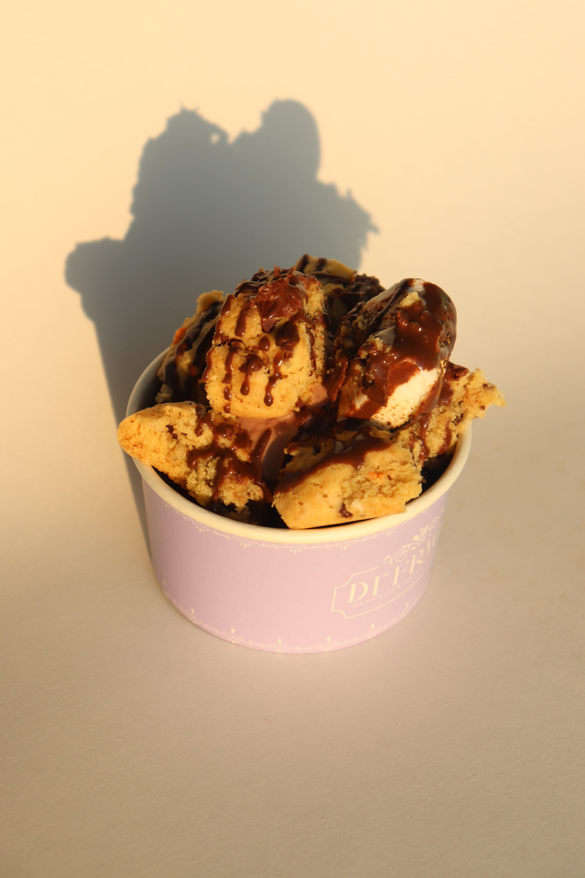 GALLETA CON GELATO_0