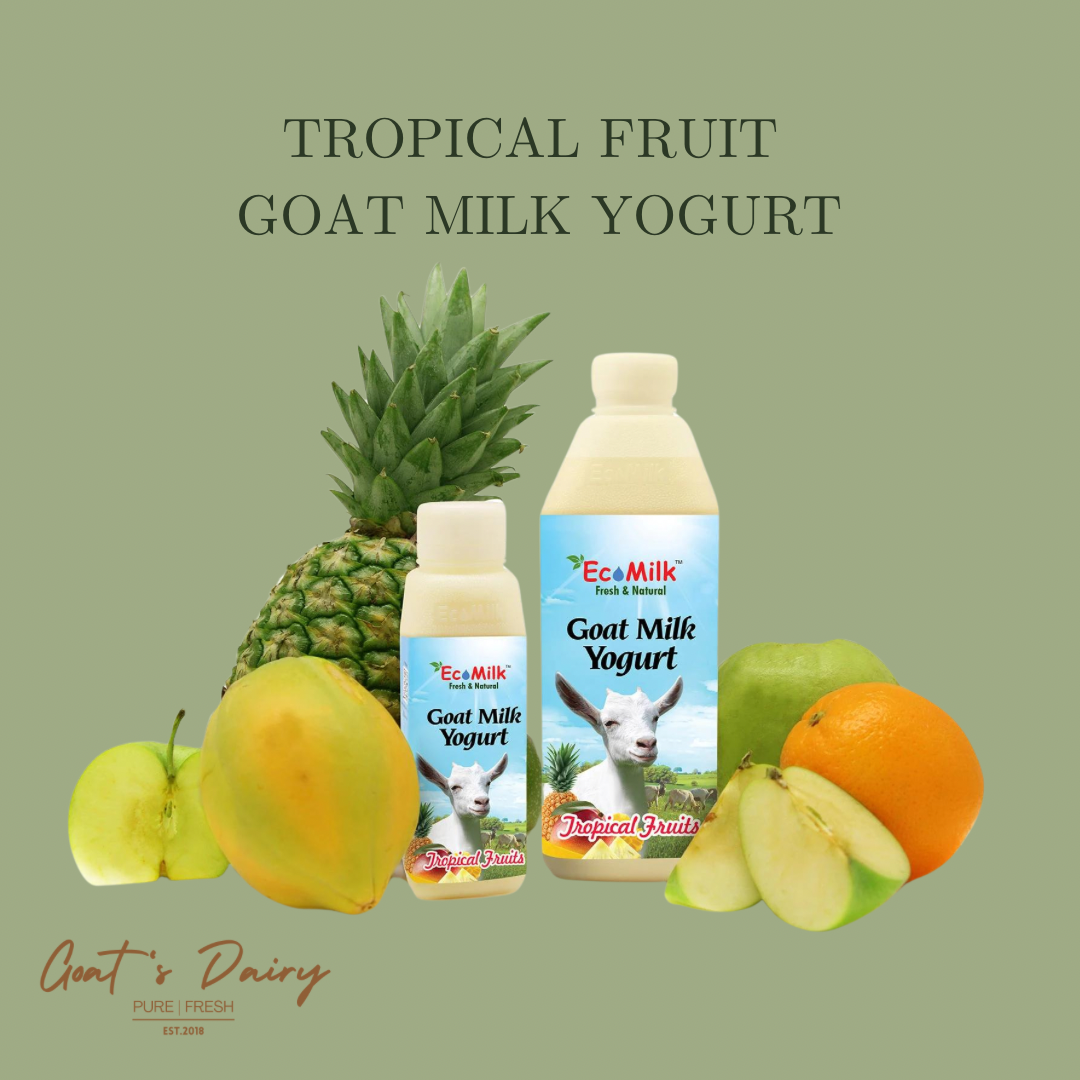 Tropical Fruits Goat Milk Yogurt_0