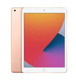  IPAD (9th Generation )