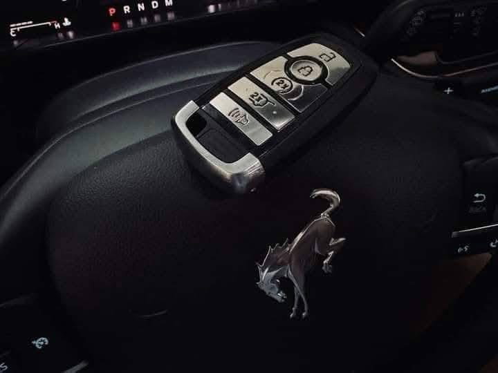 Ford Bronco Sport /2020 _4