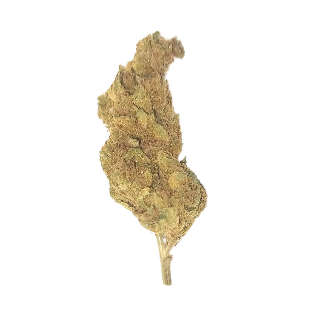 Blockberry
