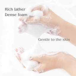 BYITO MOISTURE WHIP CLEANSING FOAM 120g