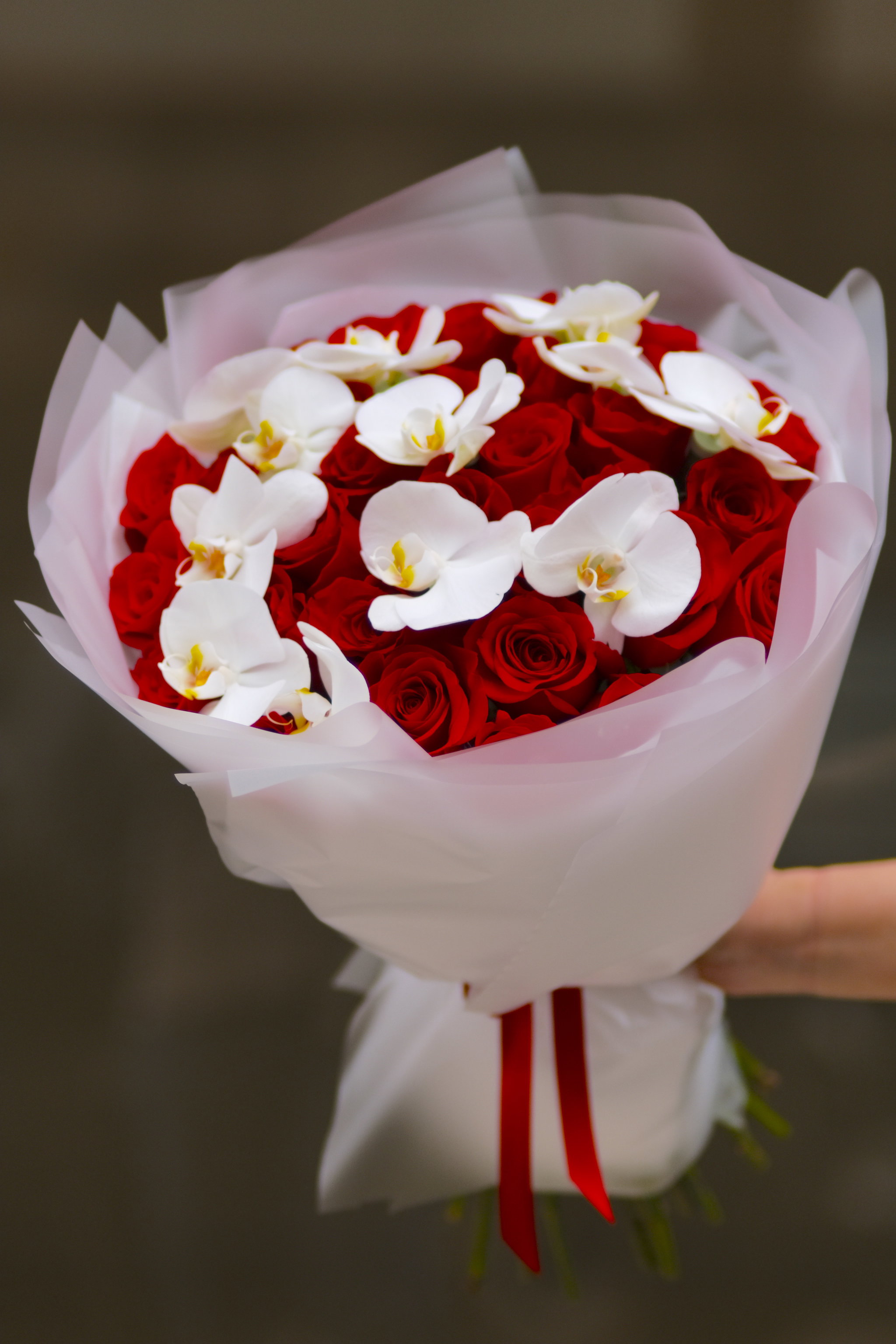 Red Orchid_0