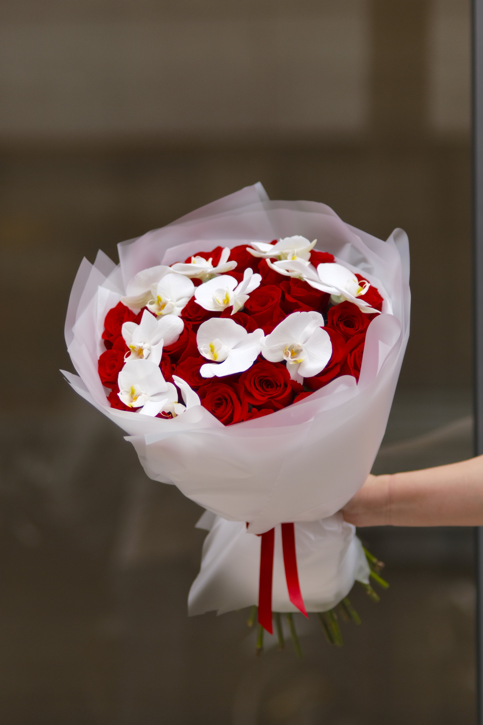 Red Orchid_1