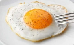 TELUR