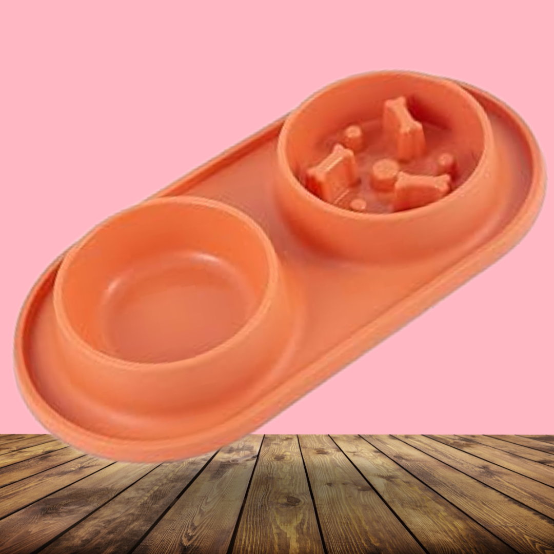 Slow Feeding Double sided Bowl_0