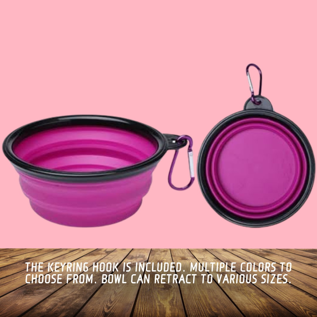 Pop-Up Travel Bowl