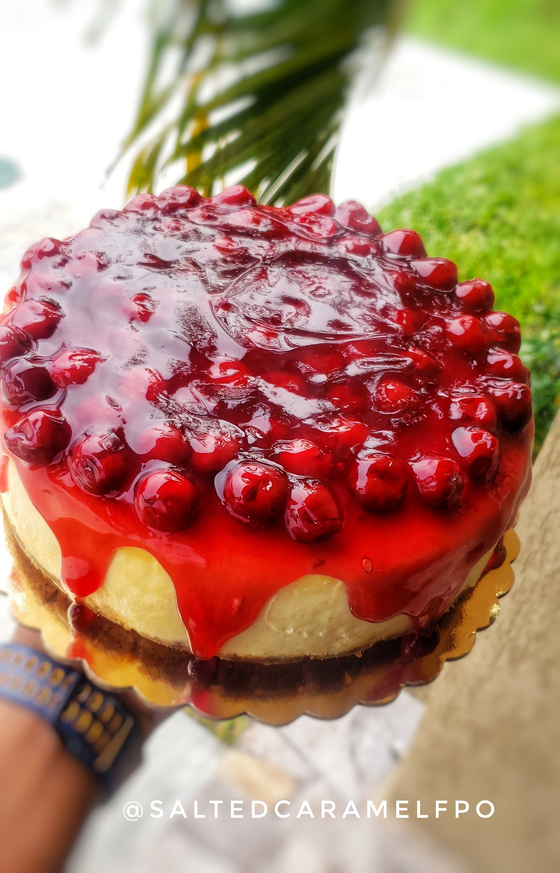 Cheesecake_3