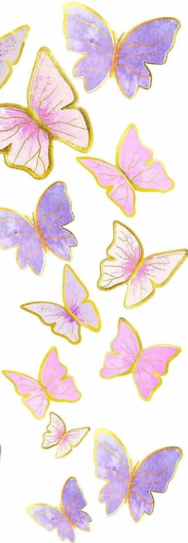 3 Butterfly Pieces_0