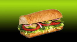 Veg Delight