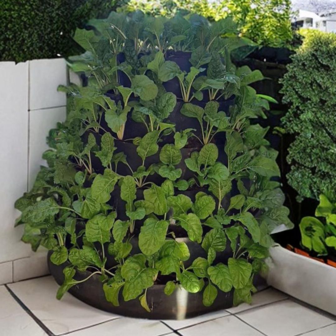 Build An African Vertical Vegetable Garden _2