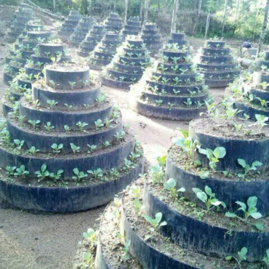 Build An African Vertical Vegetable Garden _4