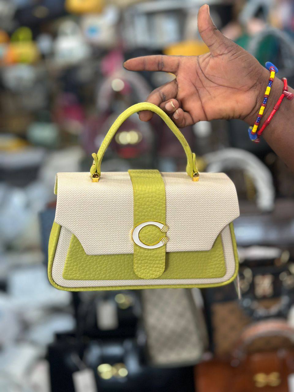 ladies bag_0