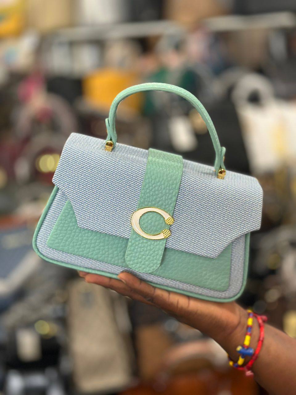ladies bag_1