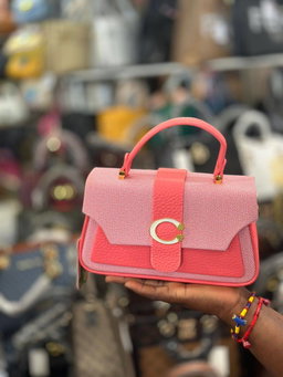 ladies bag