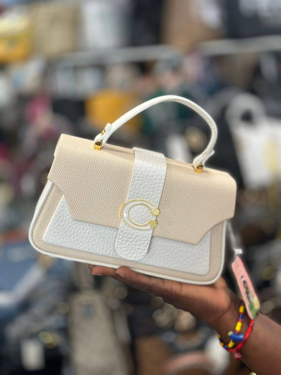 ladies bag_3