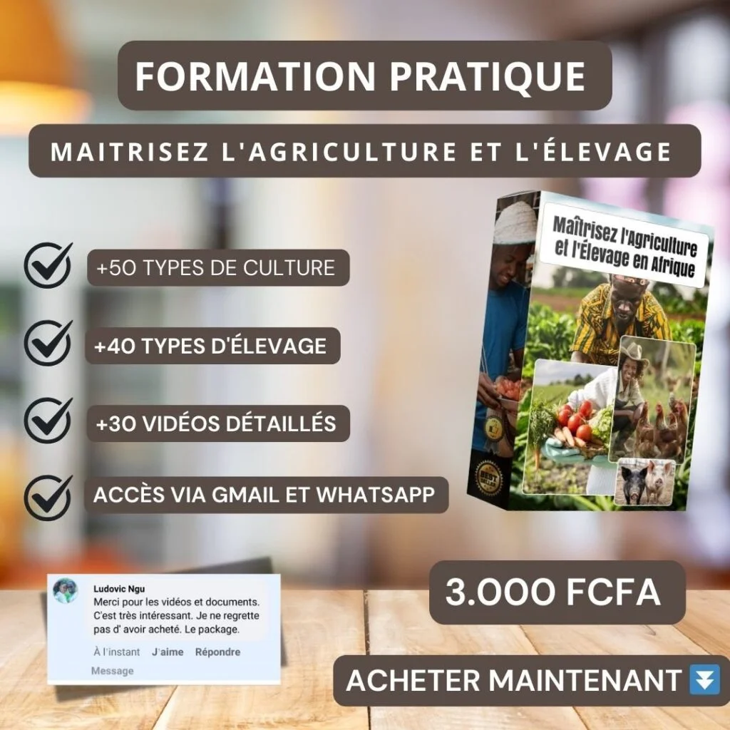 Formation agriculture et élevage _0