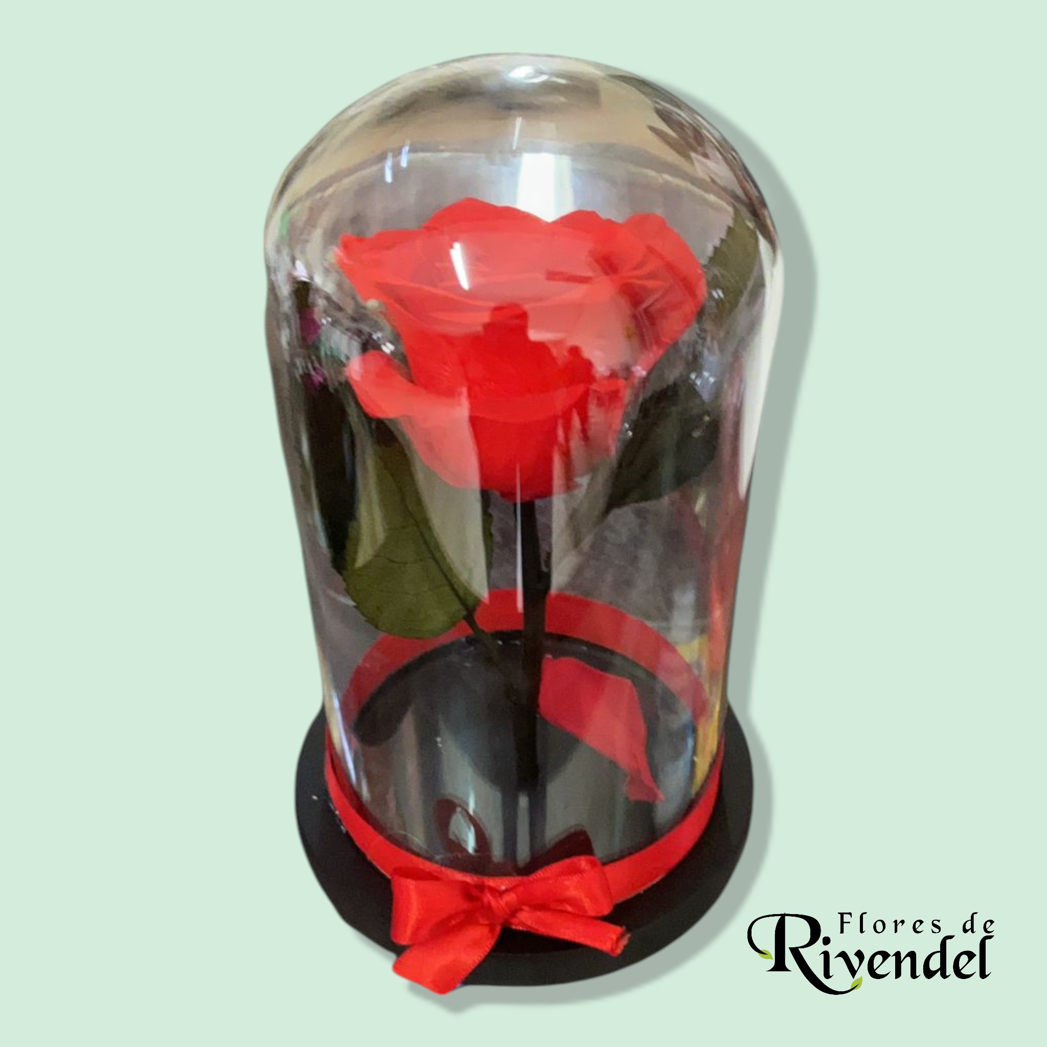 Rosa Preservada_0