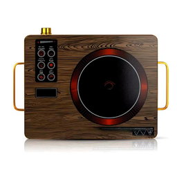 Digital Induction Cooker