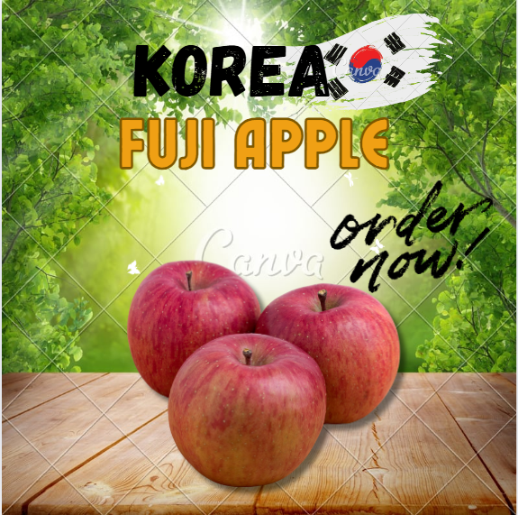 KOREA FUJI APPLE (54'S)