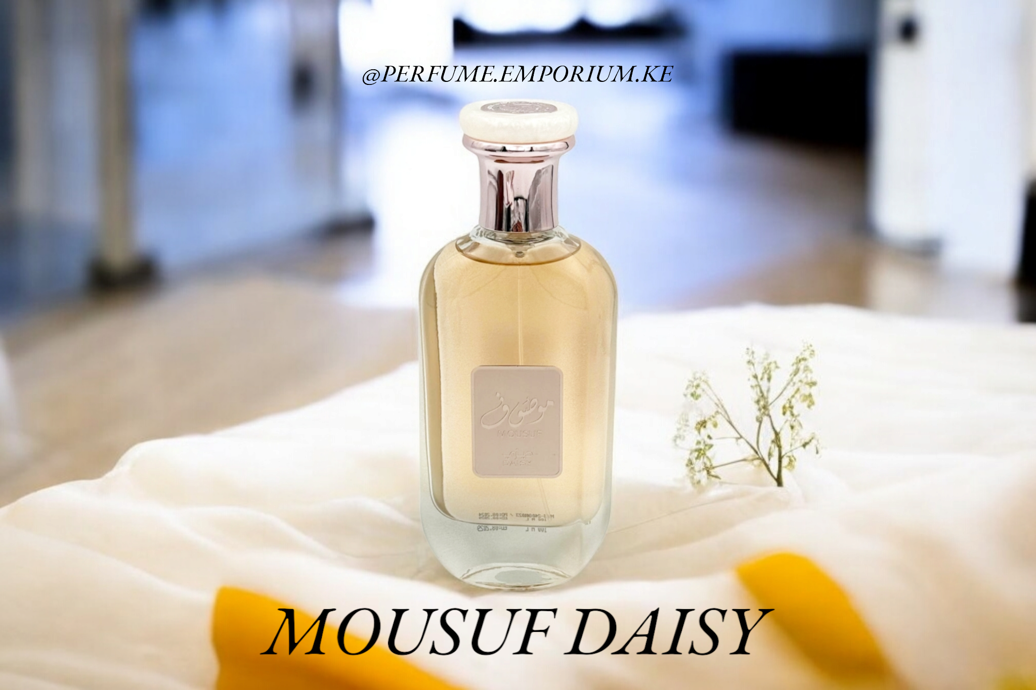 MOUSUF DAISY BY ARD AL ZAAFARAN_0