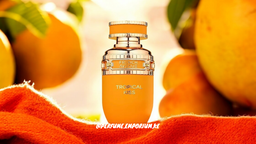 FRENCH AVENUE PERFUMES