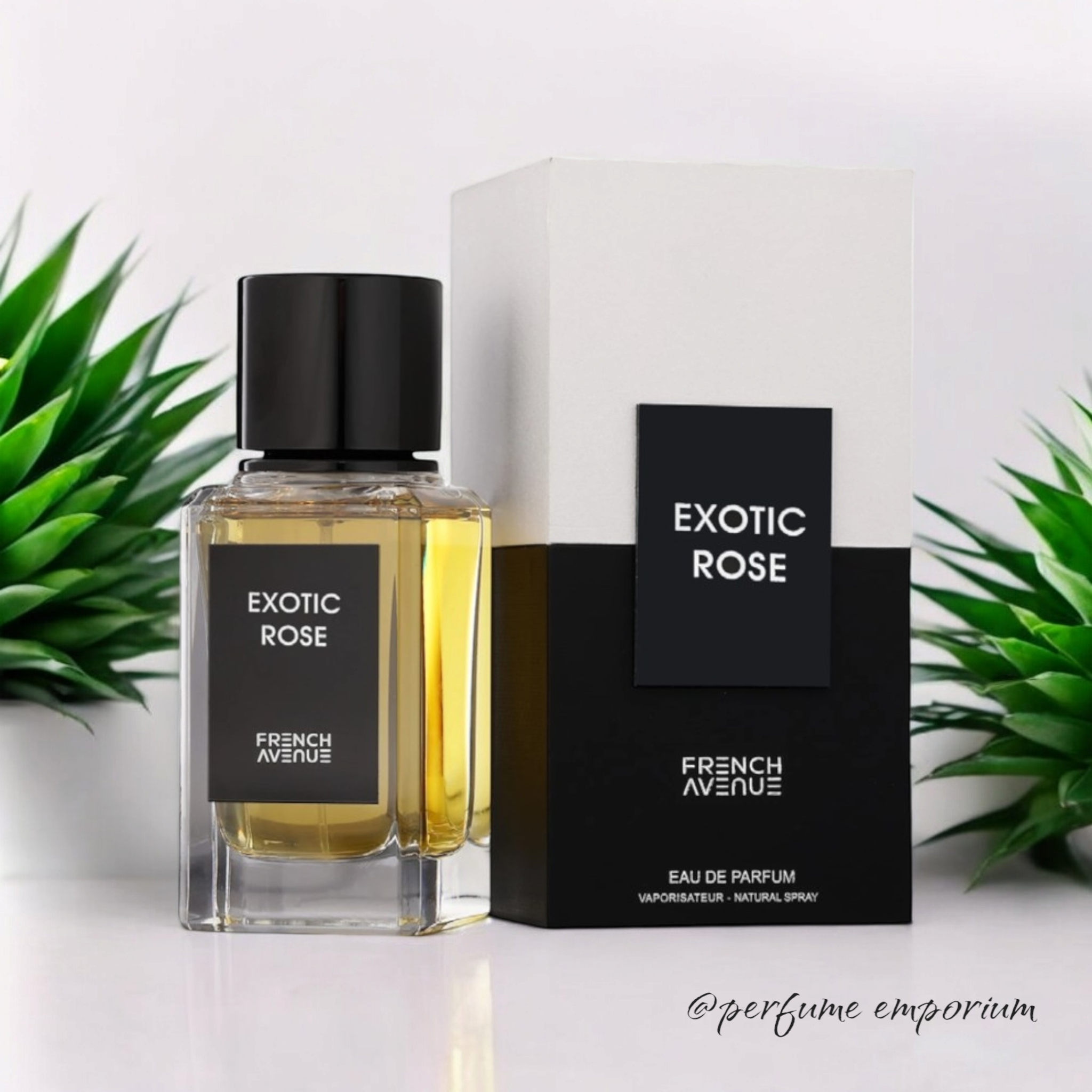 EXOTIC ROSE BY FRENCH AVENUE_0