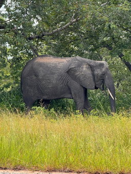 Botswana Via Namibia and Zimbabwe 