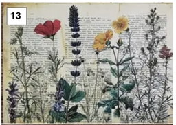 Rural Wildflower Decoupage sheets A5