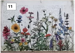 Rural Wildflower Decoupage sheets A5