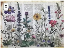Rural Wildflower Decoupage sheets A5